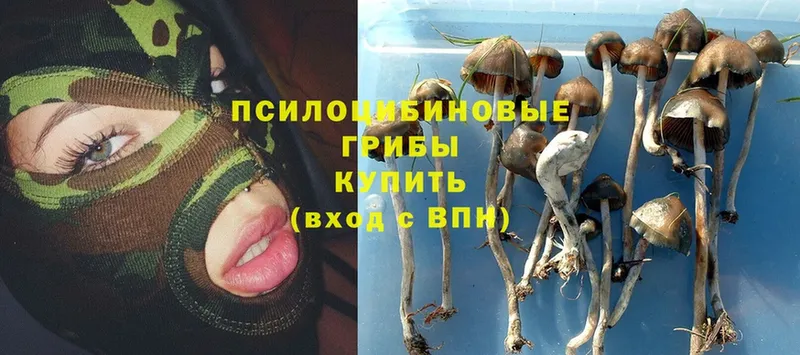 Галлюциногенные грибы MAGIC MUSHROOMS  Покровск 